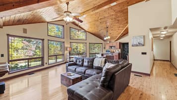 TV connectée, cheminée, lecteur de DVD, livres