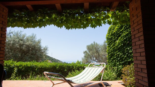Un fauteuil suspendu sous une pergola couverte de plantes grimpantes, offrant une vue sur un jardin aménagé et un ciel dégagé.