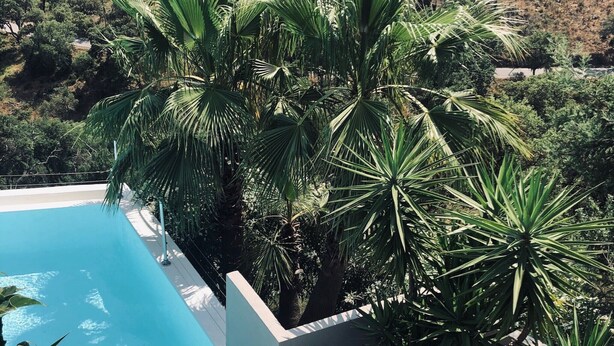 Een dakterras met een zwembad, ligbedden en plantenpotten.