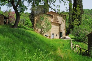 Exterior - Casa Piccina - Nestling among tall cypresses, ancient oaks and… silence (Anghiari (AR))