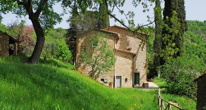 Casa Piccina - Eingebettet zwischen hohen Zypressen, alten Eichen und ... Stille