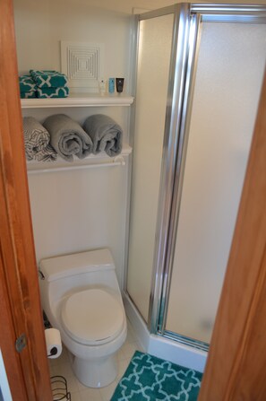 Shower, hair dryer, towels, soap