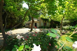 Áreas de la propiedad