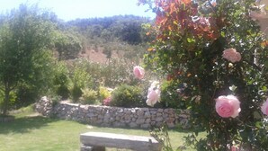 Una panca di pietra in un giardino con rose in fiore e un muro di pietra.