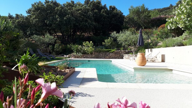 Una piscina con muro in pietra e sdraio, immersa nel verde rigoglioso e fiorita.