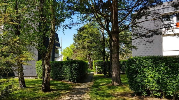 Un sentiero costeggiato da alberi e siepi conduce a un edificio dal design moderno.