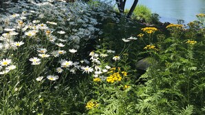 A garden with white and yellow flowers, trees, and a lake.