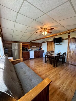 TV - Lake Cabin Resort - Cabin 1 (Fife Lake)