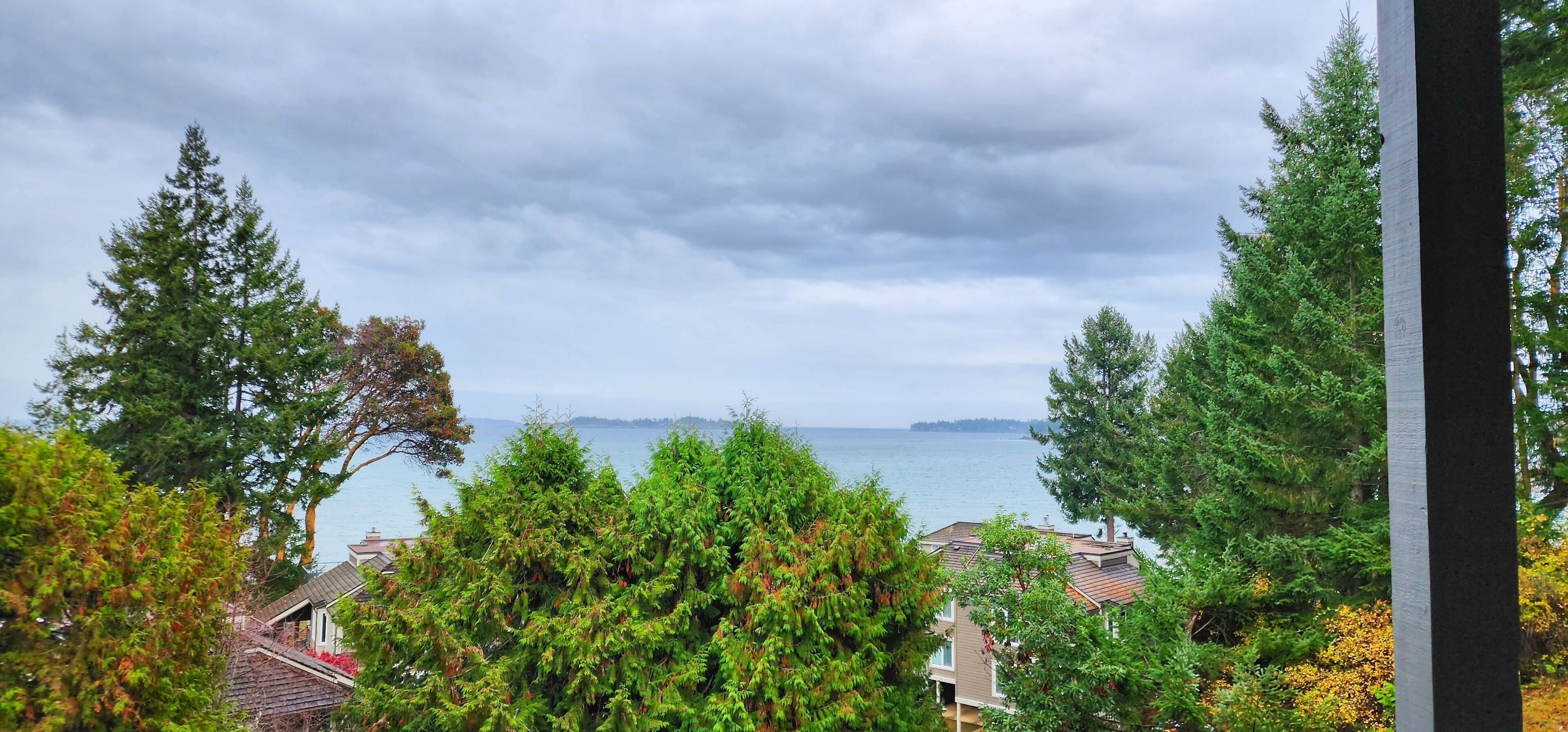 Une vue côtière, avec une végétation luxuriante et une étendue d'eau visible au loin.