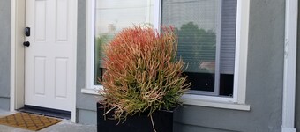 ★ Ny & Modern | Gå överallt | Parkering | Ace Plats ★ 2BD