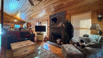 Smart TV, fireplace, DVD player, books