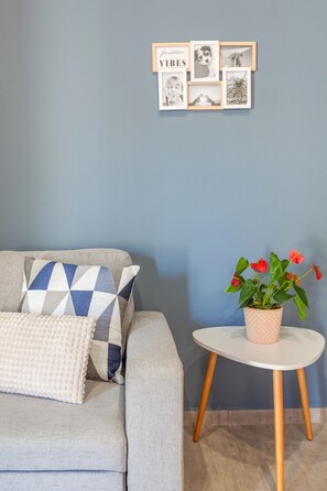 Flachbildfernseher, Bücher