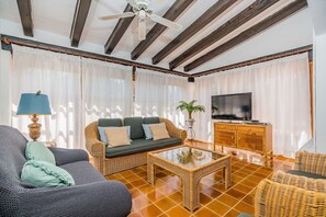 Télévision à écran plat, cheminée, lecteur de DVD