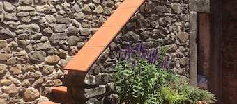 Large quality Medieval house with pool. Sleeps 20+. Complete privacy.