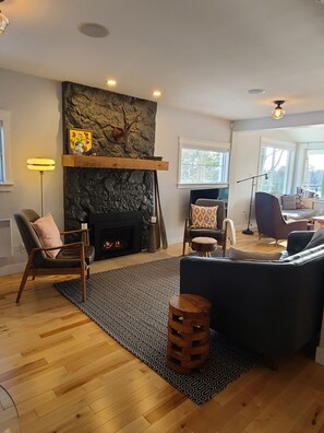 TV connectée, cheminée, jeux vidéo, lecteur de DVD