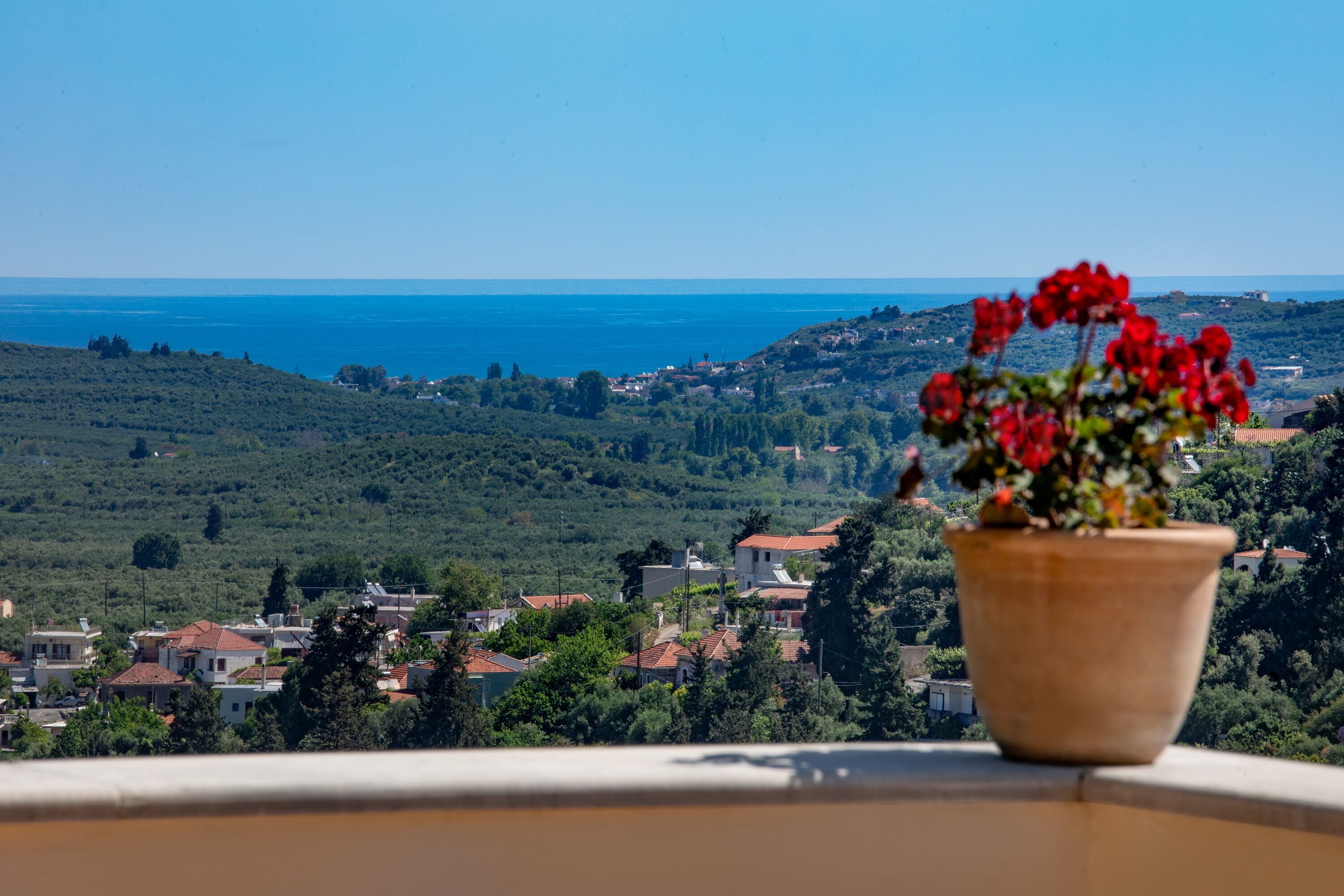 A potted plant with red flowers on a balcony overlooking a coastal town with houses and greenery.