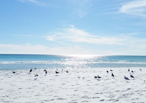 Playa en los alrededores