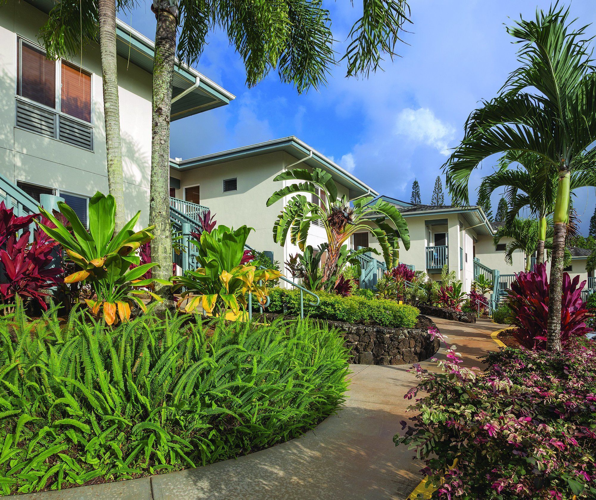 A tropical resort with lush greenery, palm trees, and a pathway leading to a building with a balcony.