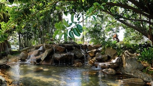 A natural water feature surrounded by rocks and greenery. - Club Wyndham Bali Hai Villas (Princeville)