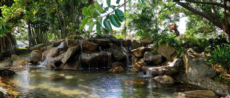 Un plan d’eau naturel, bordé de rochers et de végétation.