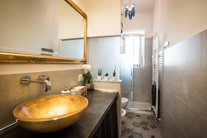 Shower, hair dryer, bidet, towels