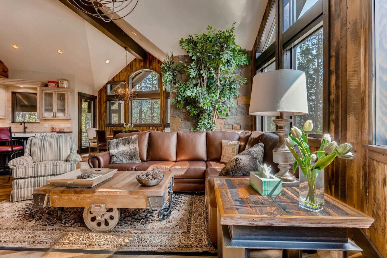 Smart TV, fireplace, video games, DVD player