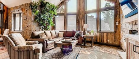 TV connectée, cheminée, jeux vidéo, lecteur de DVD