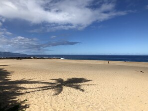On the beach, sun-loungers