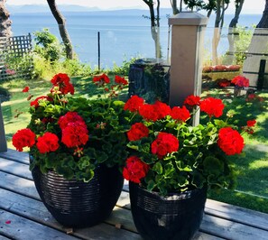 Exterior detail -  Secluded Sandy Beach All To Yourself! Panoramic Ocean and Mountain views. (Comox)