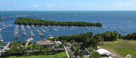 A marina with numerous boats, surrounded by lush greenery and a clear blue sky.