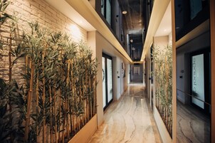 Standard Double Room | Terrace/patio