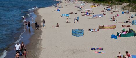 En la playa y camastros