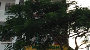 A building with a sign reading "THANH TRINH" and "Guest House". - Thanh Trinh Guest House (Binh Kien)
