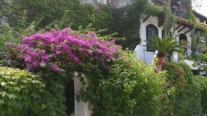 A building with ivy-covered walls, a balcony with a white air conditioning unit, and a street in front. - Casa Malò (Ischia)