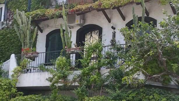 A building with a white facade, green vines, and multiple balconies with potted plants. - Casa Malò (Ischia)