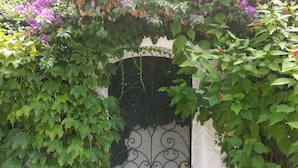 A white wall with a metal gate, surrounded by green foliage and pink flowers. - Casa Malò (Ischia)