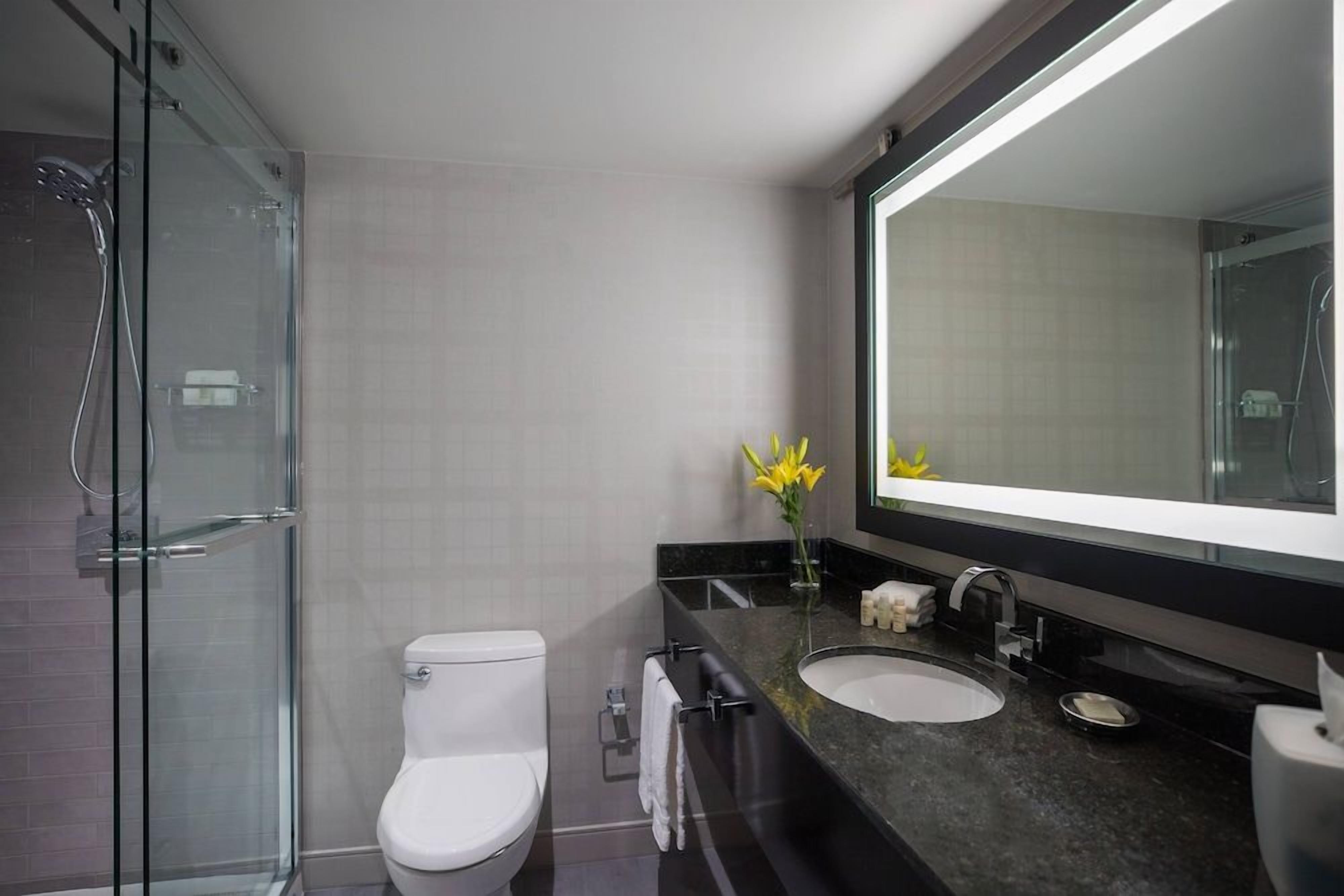 A modern bathroom with a glass shower enclosure, a white toilet, a large mirror, and a granite countertop.