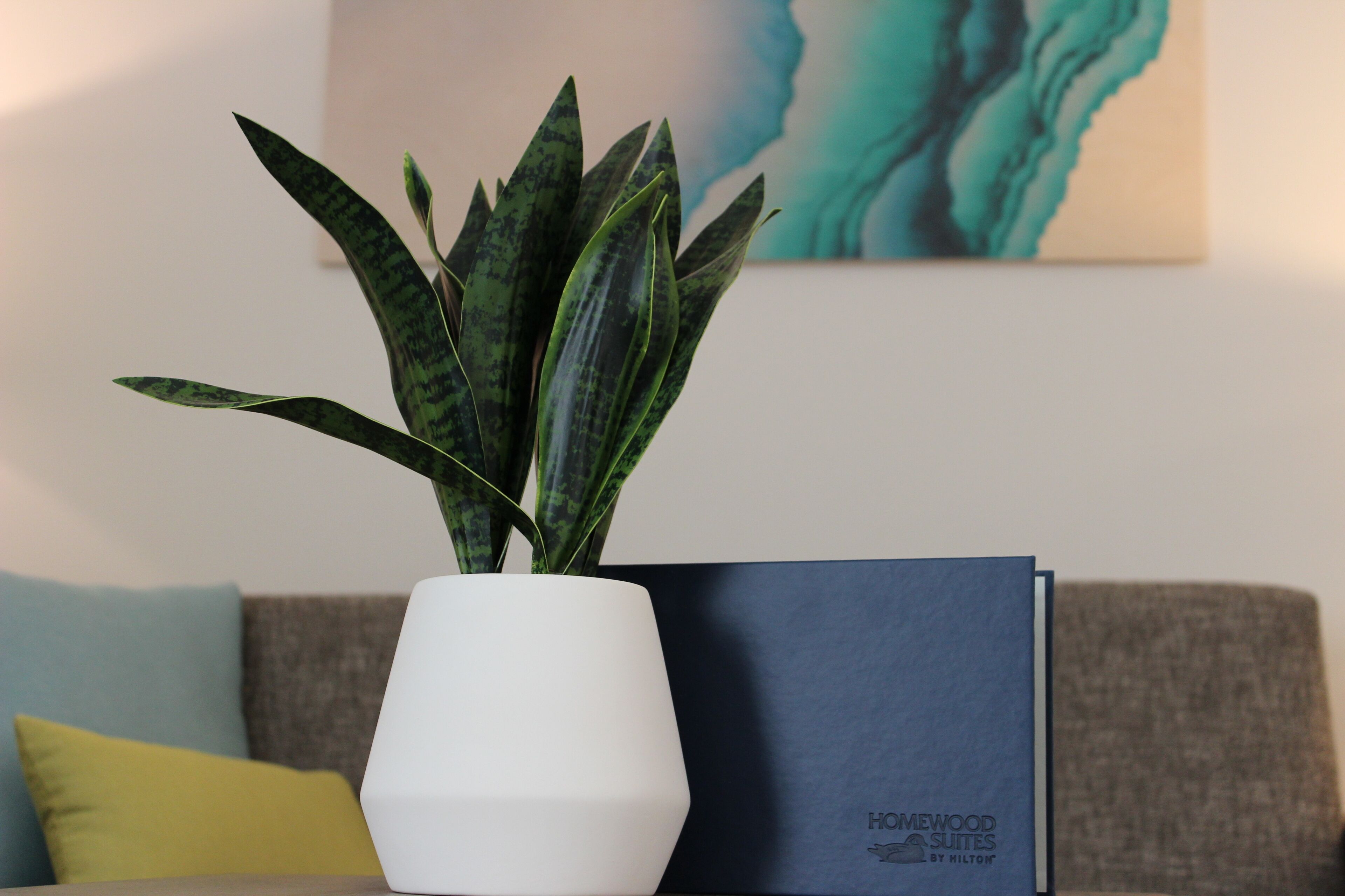 Una planta en maceta sobre una mesa con un libro titulado “Homewood Suites by Hilton” junto a un sofá con un cojín amarillo.