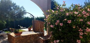 Property grounds - Bed and Breakfast Piano Del Re (Partinico)