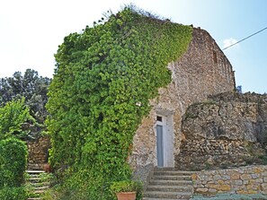 A stone building partially covered with green ivy. - Mas de Tenesa (Benassal)