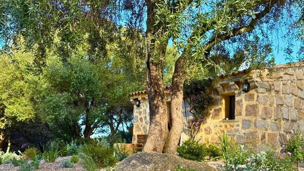 A stone building with a small window, surrounded by trees and pebbles. - Lu Pastruccialeddu (Arzachena)
