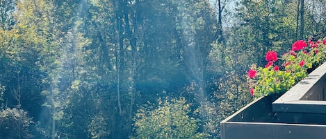 Individually decorated, individually furnished, blackout curtains