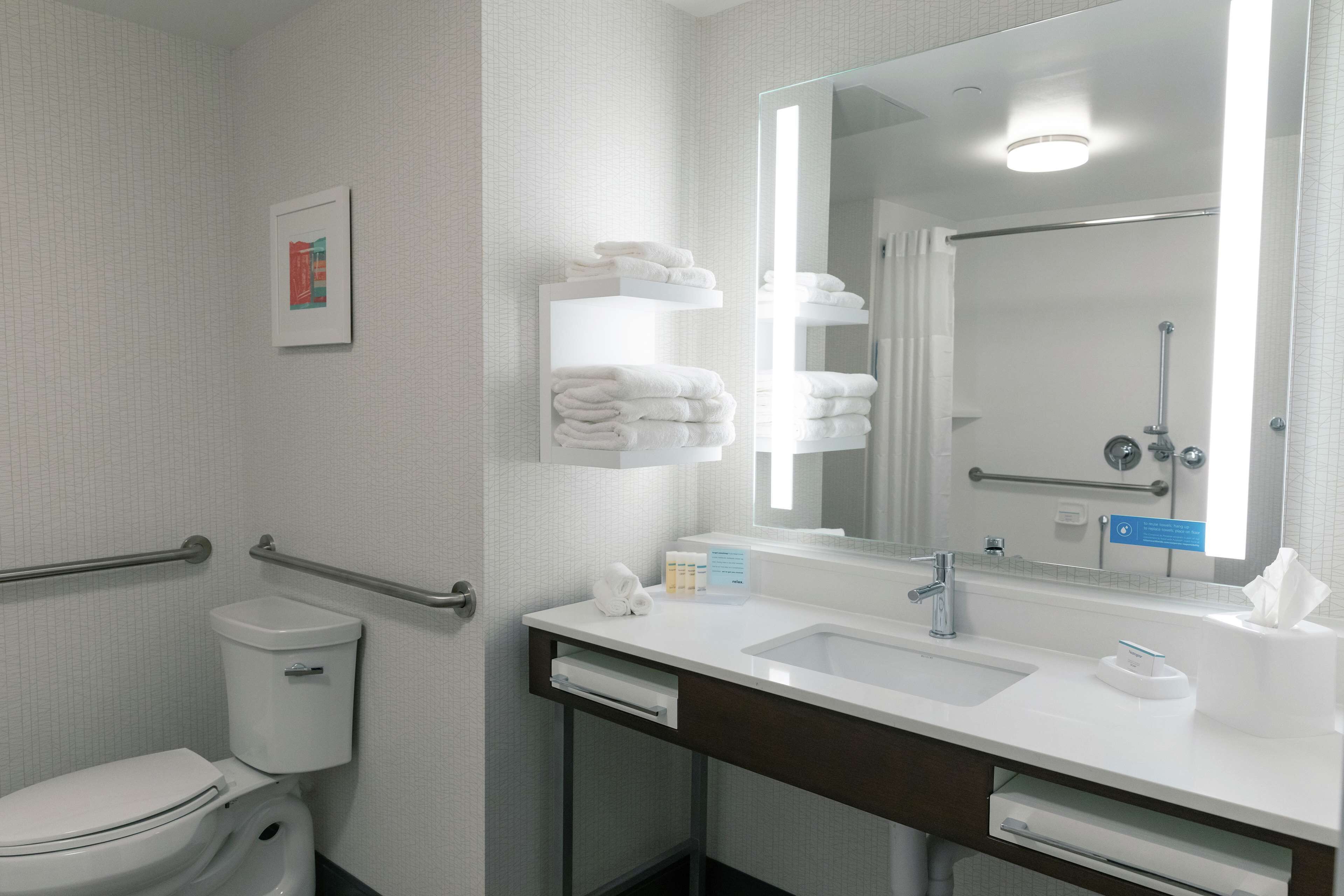 room, 1 king bed, accessible (mobility & hearing, roll-in shower) | bathroom shower