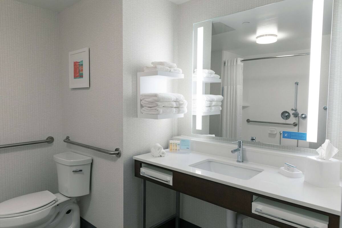 room, 1 king bed, accessible (mobility & hearing, roll-in shower) | bathroom shower