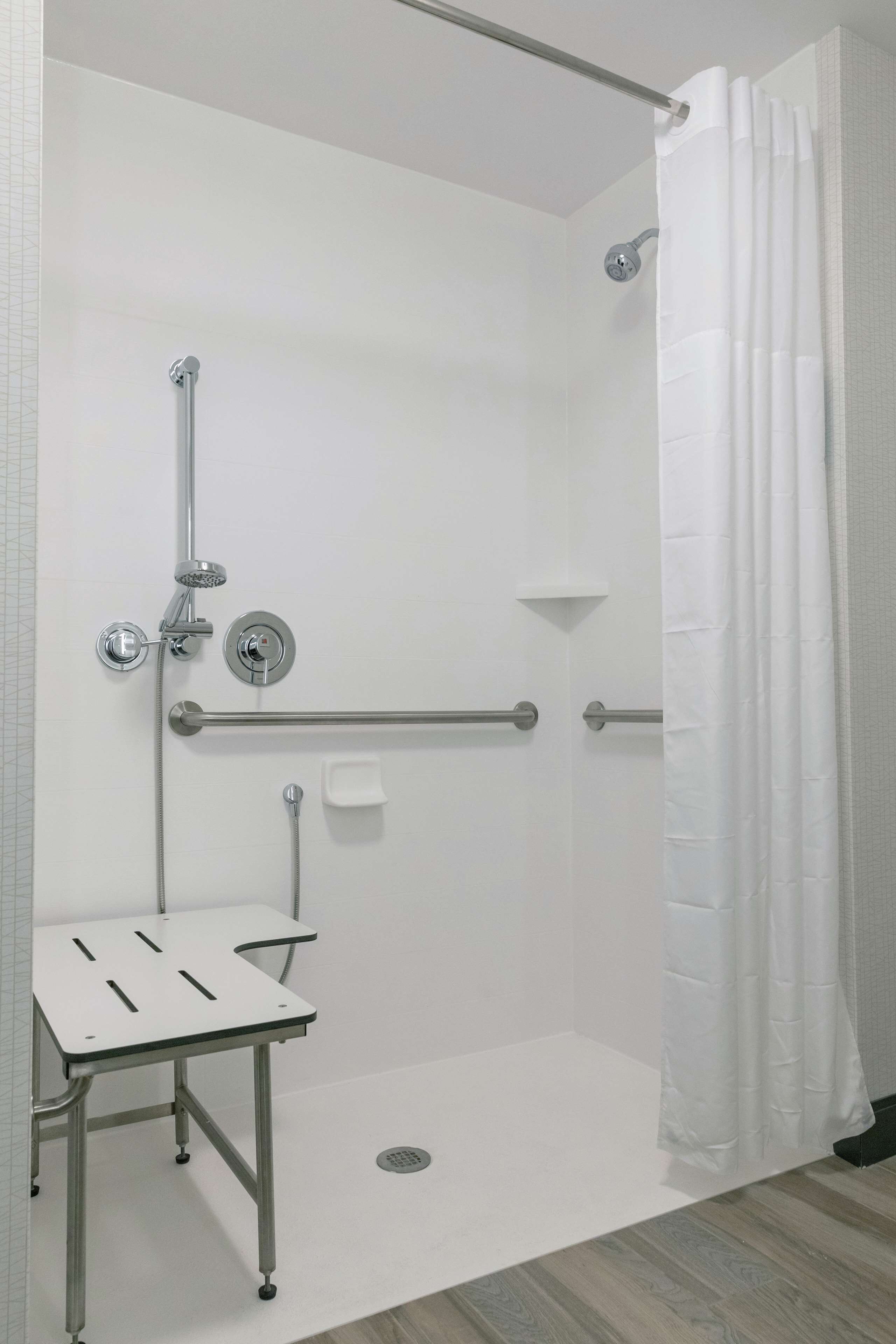 room, 1 king bed, accessible (mobility & hearing, roll-in shower) | bathroom shower