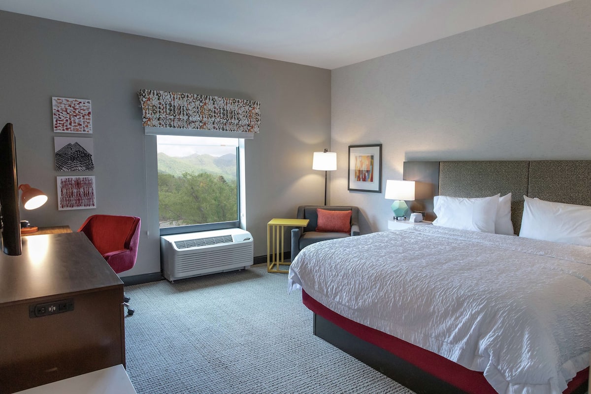 A hotel room with a large bed, a desk, a chair, a window with a view of greenery, and wall art.