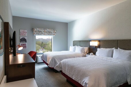 Hampton Inn Black Mountain - Image 1