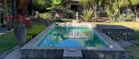 A rectangular swimming pool with a stone border, surrounded by a well-maintained garden with various plants and a palm tree.
