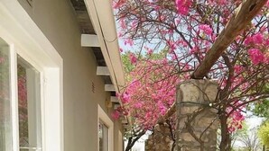 Un edificio con fachada de piedra, un corredor cubierto y árboles de flores rosadas.