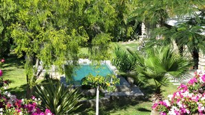 Un jardín ajardinado con piscina, rodeado de diversas plantas y flores.